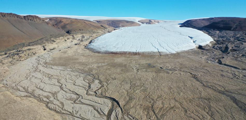 El deshielo de Groenlandia abre paso a un preocupante crecimiento de la vegetación