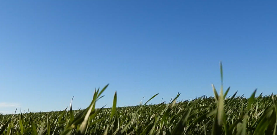 Ruta por los paisajes de la Catalunya Central