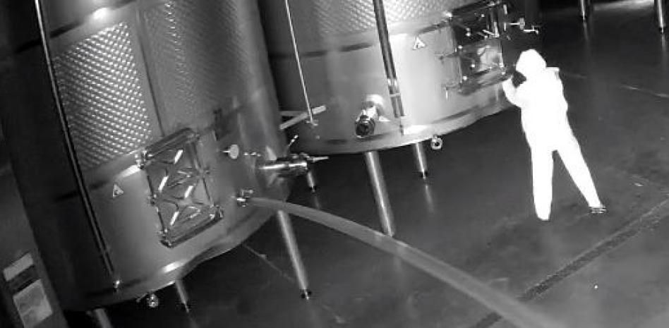 Asalto a la bodega Cepa 21: sabotean 60.000 litros de vino valorados en más de 2,5 millones