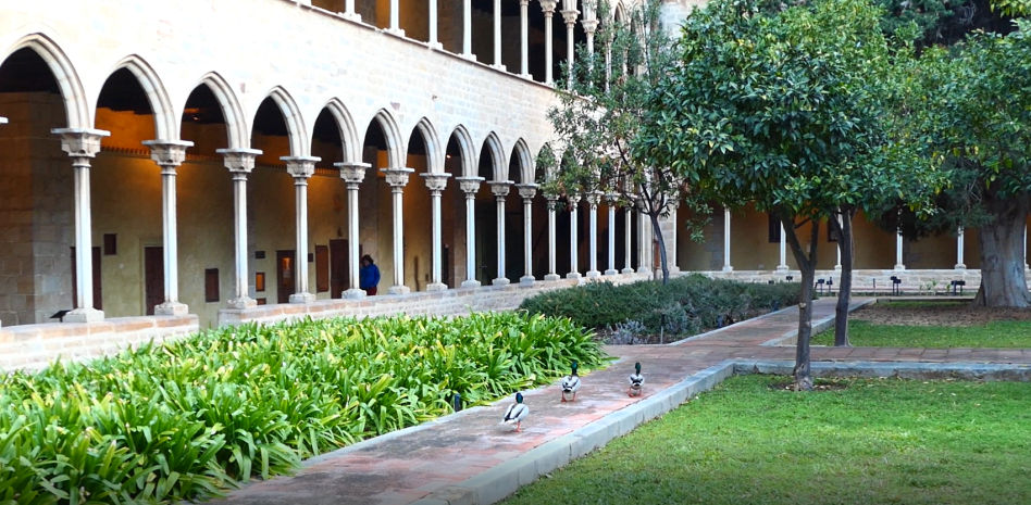 Patolandia en el monasterio de Pedralbes