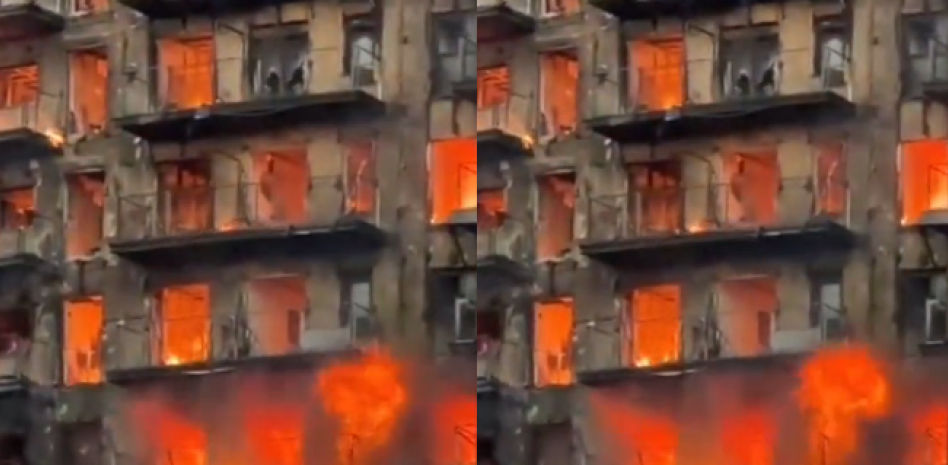 Las tristes imágenes de un perro atrapado en el incendio de Valencia: “Se me parte el alma”