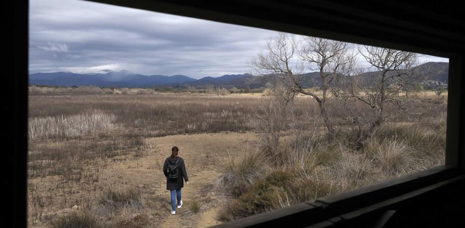 La peor sequía en 40 años en los Aiguamolls de l'Empordà reduce en un 80% las aves
