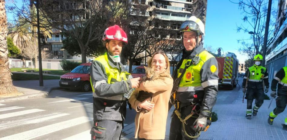 Los bomberos rescatan a un gato superviviente del incendio ocho días después<br>