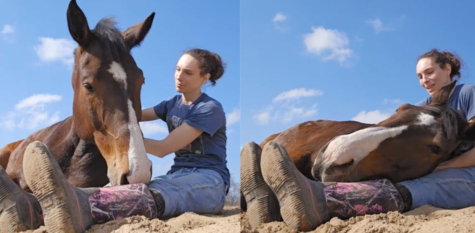 El conmovedor momento en el que un caballo descansa sobre su dueña: "El mejor sentimiento"