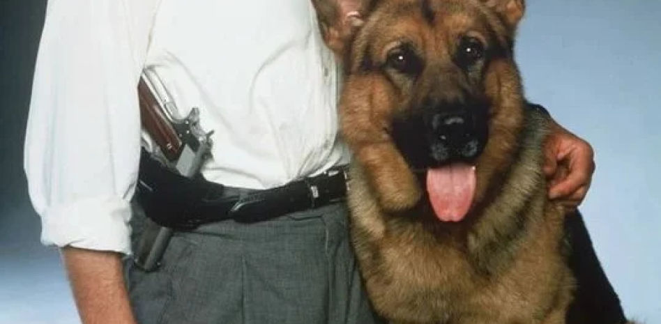 ¿Qué fue del pastor alemán de 'Rex, un policía diferente'?
