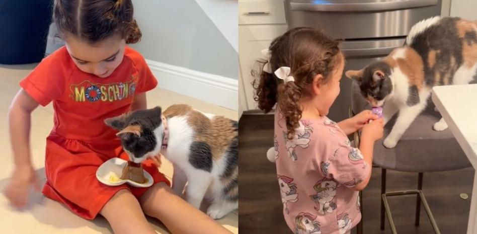 Una niña adopta una gata enferma y así le agradece la segunda oportunidad