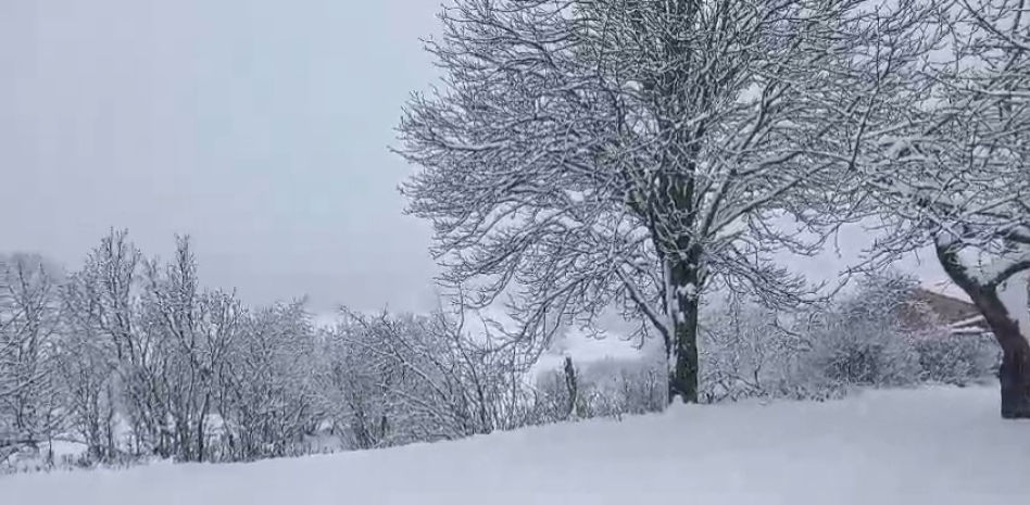 Espectáculo blanco en el Pla de Busa