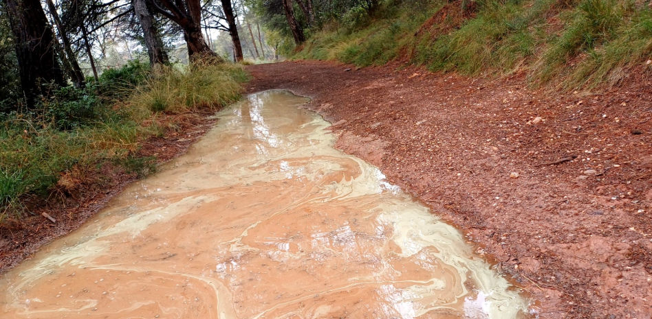 Los charcos de polen de Sant Llorenç del Munt