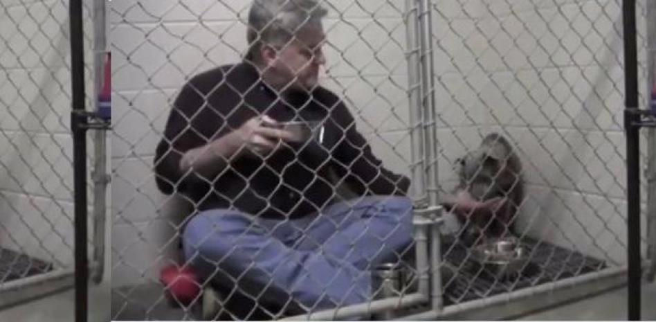 La emotiva estrategia de un veterinario para ganarse la confianza de un perro rescatado
