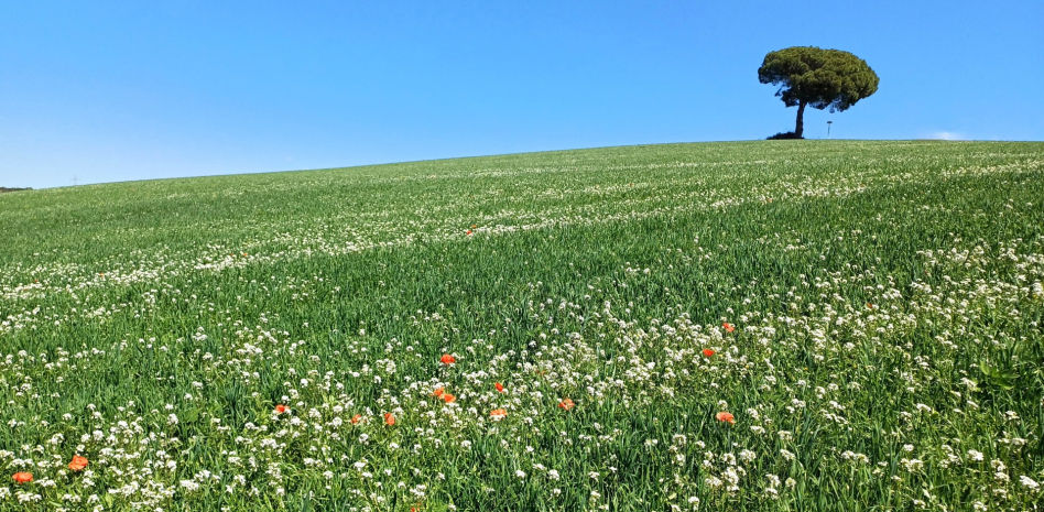 En busca de la colina más bella del Vallès
