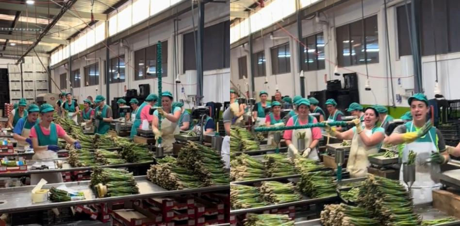 Enseña lo que pasa cuando suena Camela en la fábrica de espárragos en la que trabaja y la gente alucina: “Que hagan un concierto”