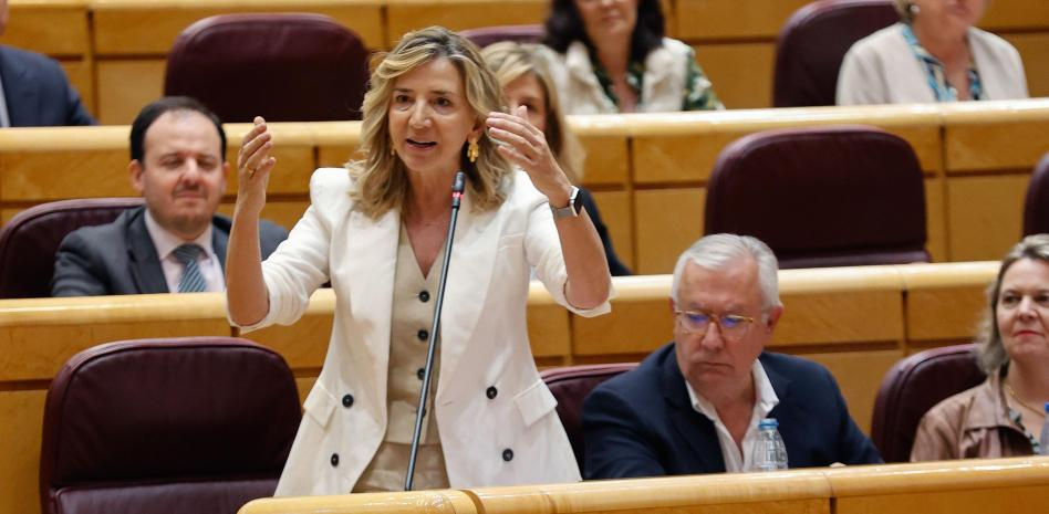 El Senado inicia la desescalada de su ofensiva contra la ley de Amnistía