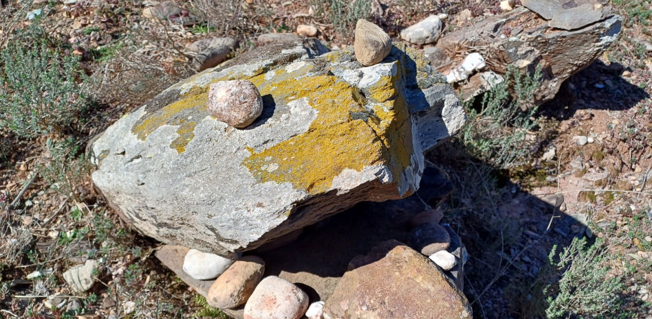 FotoDocs: El sapo de Sant Llorenç del Munt