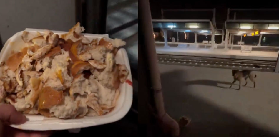 La emotiva reacción de un perro a la llegada del tren cuyo conductor le da de comer todos los días