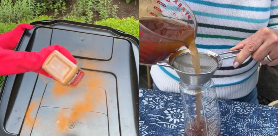 Una abuela desvela la especia que te librará de los mosquitos este verano: “Por eso aparecía en las cestas de frutas de algunos cuadros antiguos”