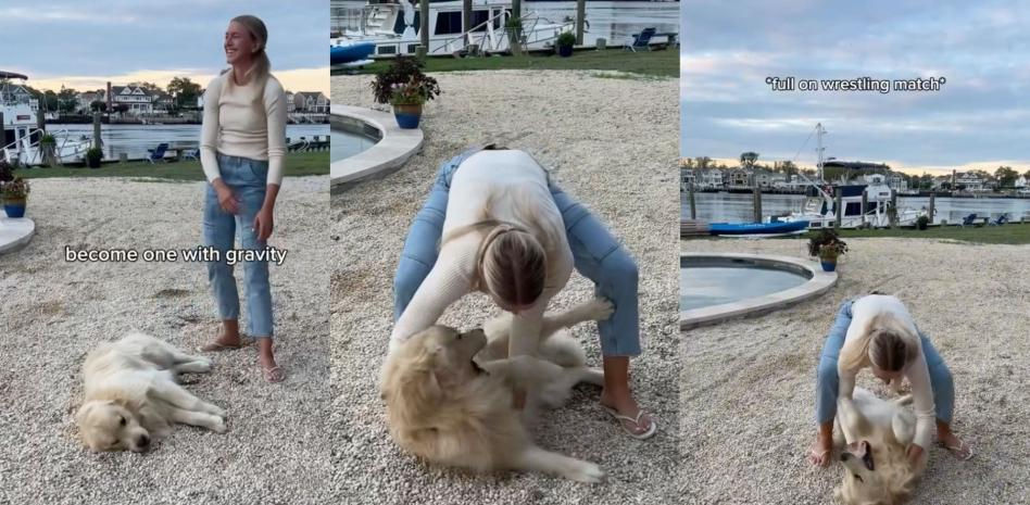 La divertida resistencia de un golden retriever que se niega a moverse: “Realmente es el perro más dramático”