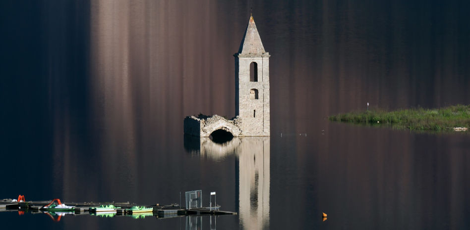 Las carpas vuelven a colonizar el pantano de Sau