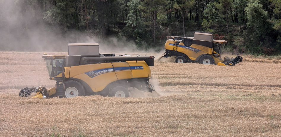 Empieza la siega mecanizada en el Lluçanès