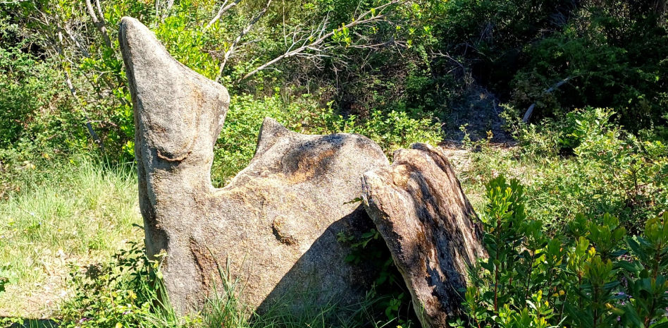 FotoDocs: El Dolmen del Camello
