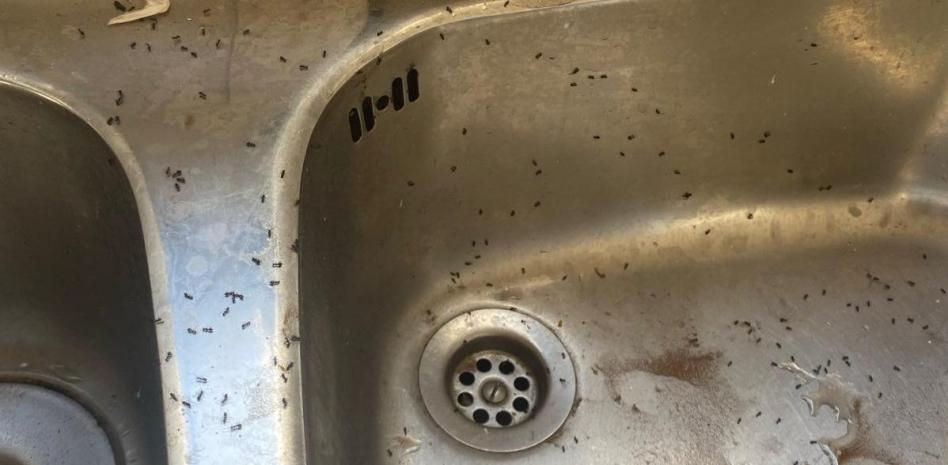 La casa del terror de 32 menores migrantes en Lanzarote