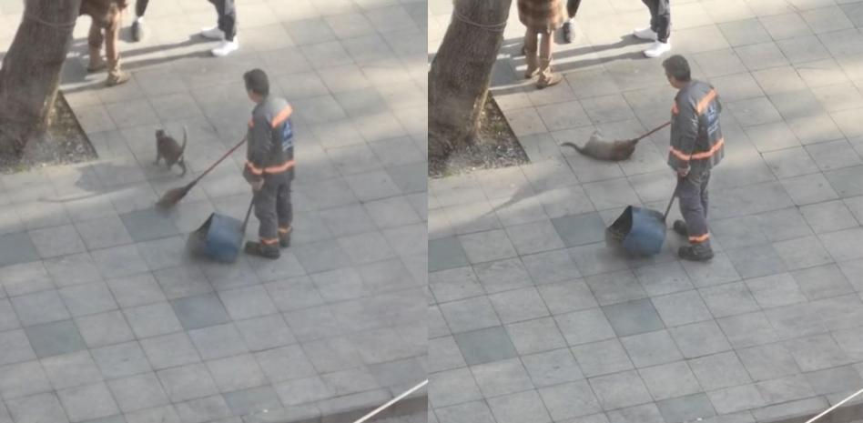 El divertido juego entre un gato y un barrendero que enternece: “Se me derrite el corazón”