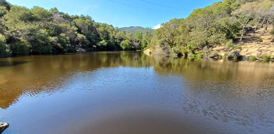 Lleno en el pantano de película de Can Bogunyà