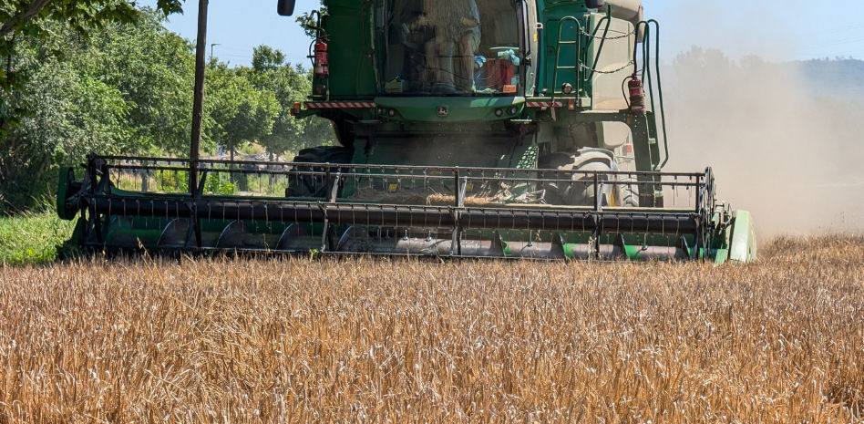 La nueva cosecha de Jimi