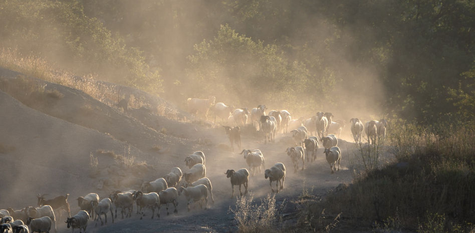 Polvo de sequía y de calor en el mundo rural