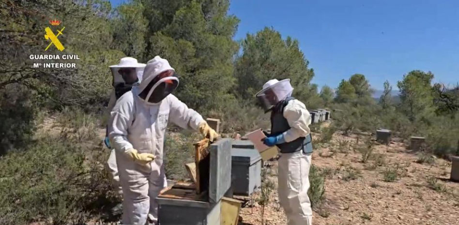 Investigan a 11 personas por comercializar más de 40 toneladas de miel contaminada de China