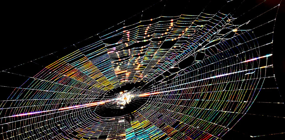 ¿Has escuchado la música de las telarañas?