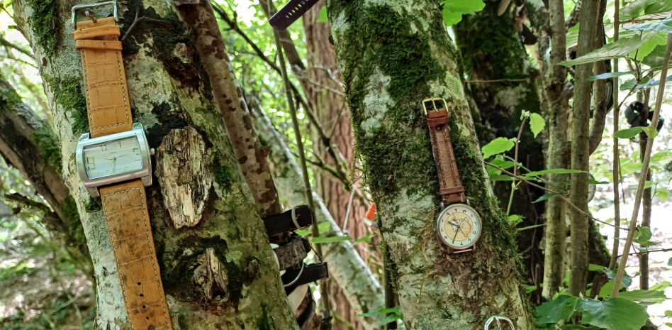 FotoDocs: El mágico Árbol de los Relojes