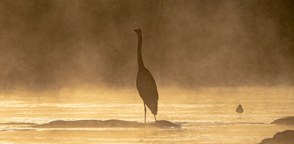 Hipnotizante humo ártico en el Ter