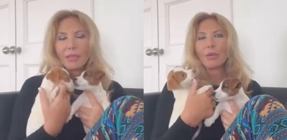 Críticas a Norma Duval en la presentación de sus nuevas perritas