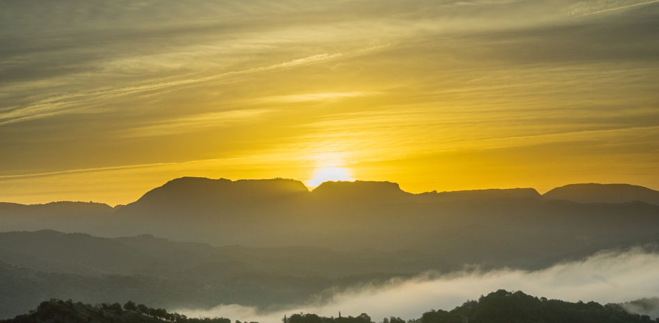 El otoño de los mares de niebla