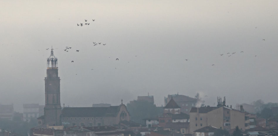 Migraciones entre nieblas