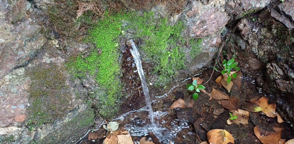La lluvia reactiva las fuentes en Catalunya como la de Estenalles y la de Sant Patllari