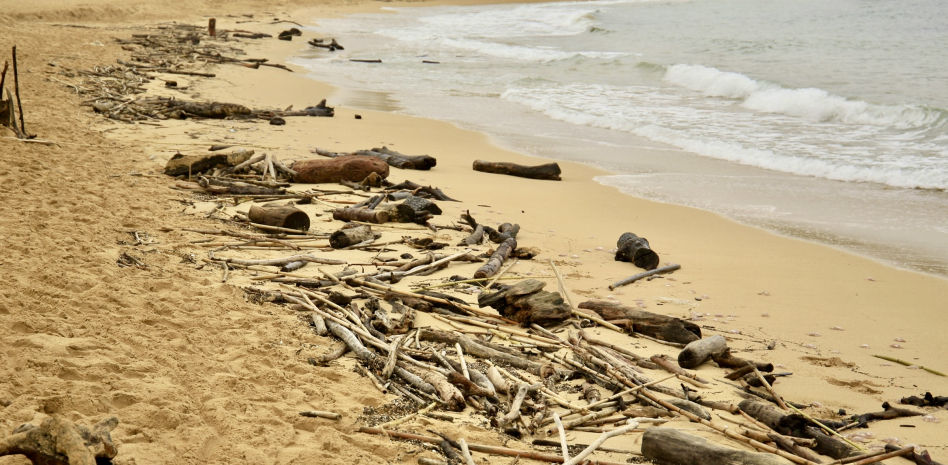 ¿Qué ha escupido el mar en la Costa Brava durante la última DANA?
