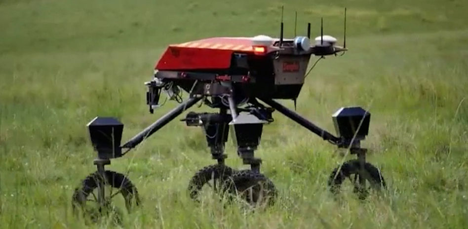 Investigadores australianos trabajan en la primera "vaca inteligente”