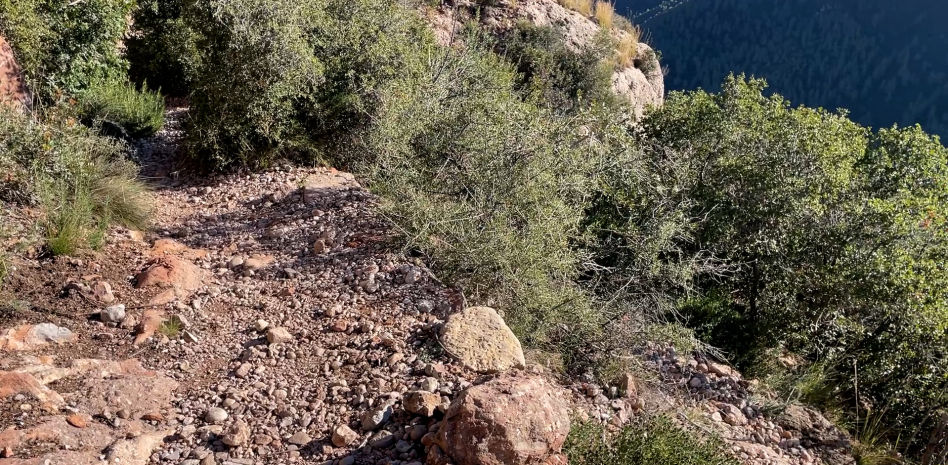 El sendero en el que murió Isak Andic: una ruta de dificultad baja en un tramo sin protección