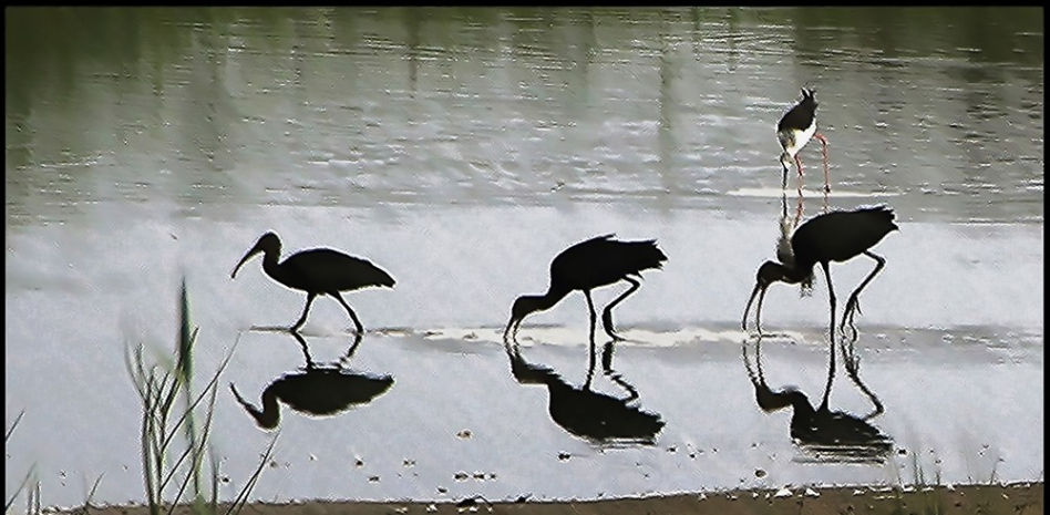 FotoDocs: El oasis de Remolar-Filipines