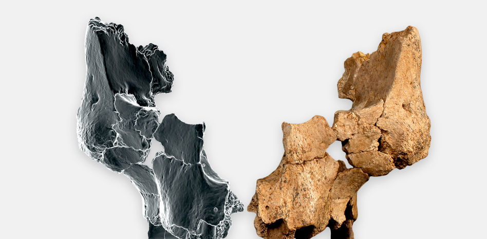 Atapuerca revela el rostro humano más antiguo de Europa Occidental