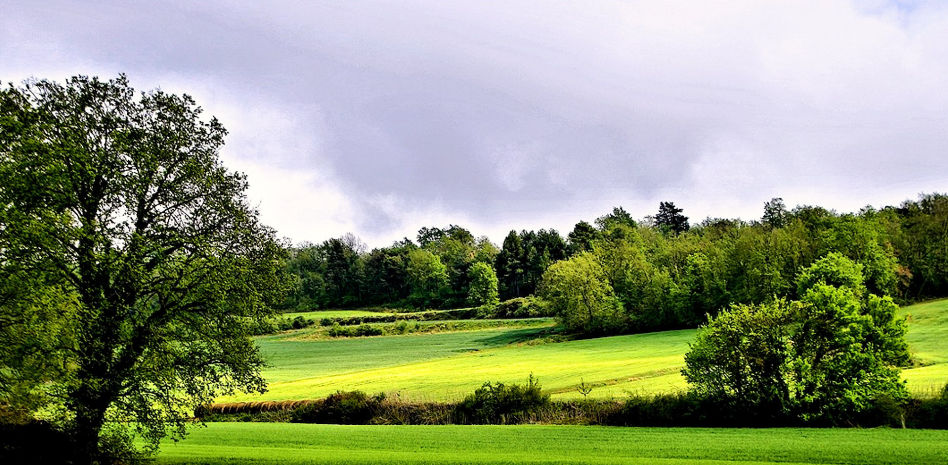FotoDocs: Los Tres Roures de Collsuspina