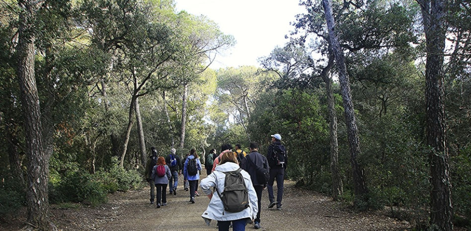FotoDocs: Ruta por el parque de Collserola