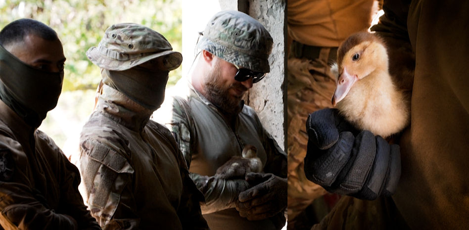 “Ojalá pudiera derribar drones”: el patito que ayuda a la resiliencia en el frente de Ucrania