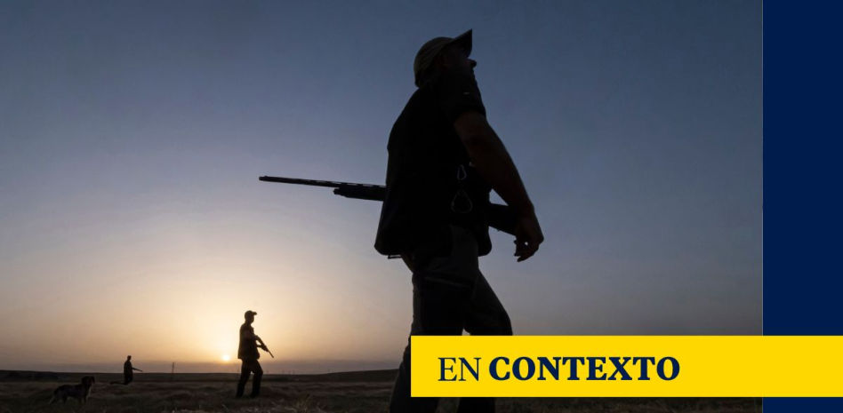 ¿La caza puede frenar la peste porcina y salvar la industria cárnica española?