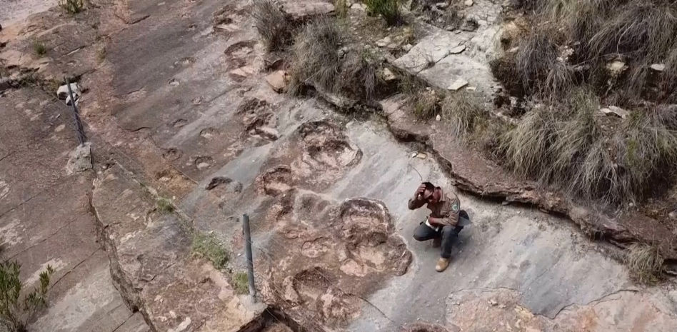 El mayor hallazgo de huellas de dinosaurios del mundo