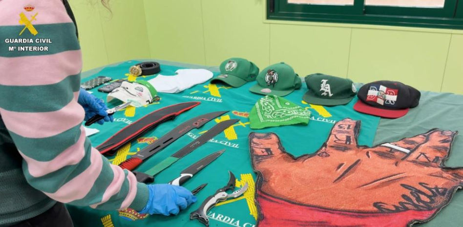 Desmantelado un grupo criminal integrado por miembros de bandas juveniles en Collado Villalba