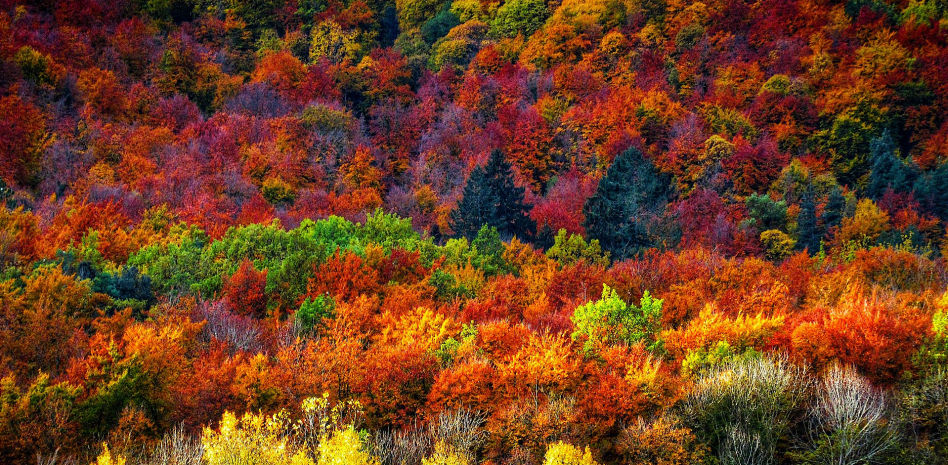 FotoDocs: Los paisajes de la Vall d’en Bas