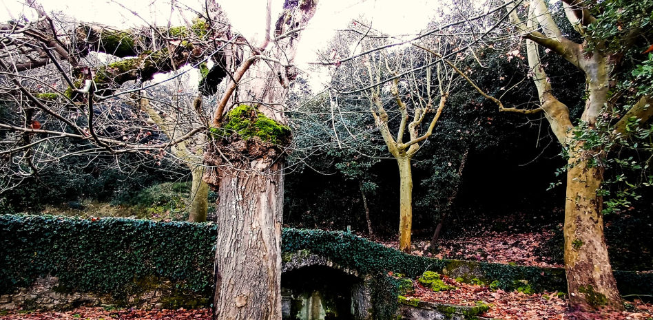 FotoDocs: La fuente de Talamanca