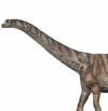 Descubierta una nueva especie de dinosaurio que vivió en los Pirineos